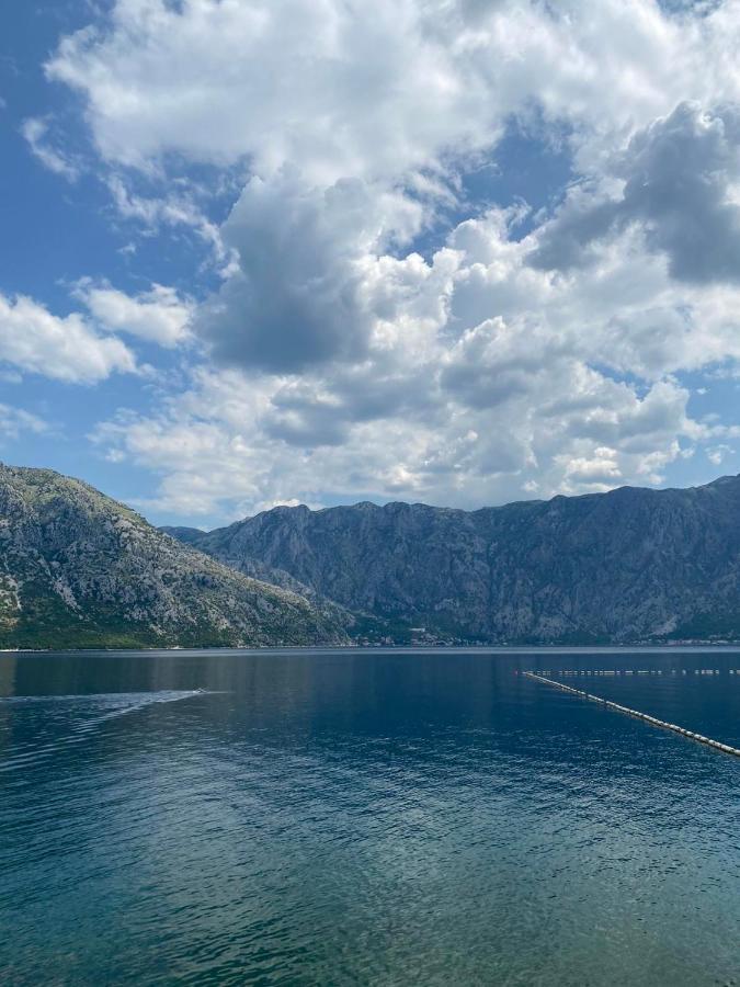 Villa Milami Kotor Exteriör bild