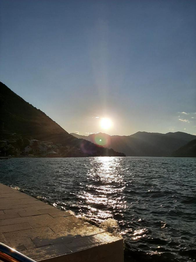 Villa Milami Kotor Exteriör bild