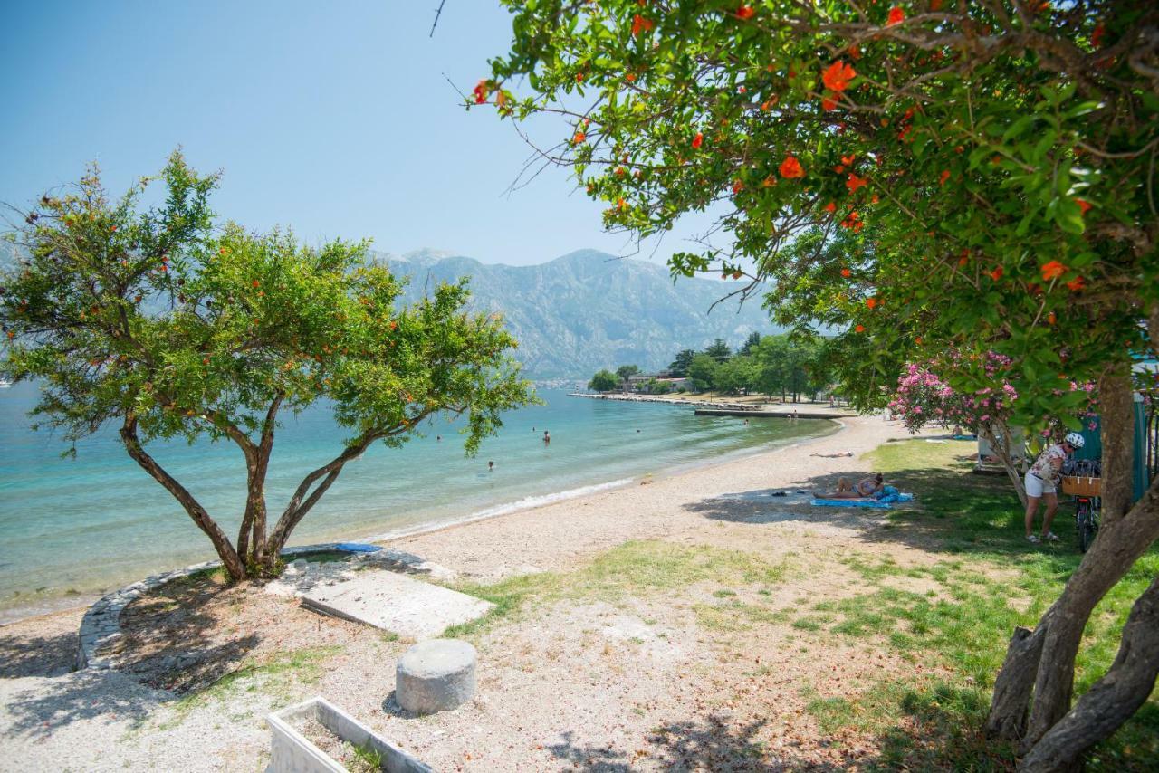 Villa Milami Kotor Exteriör bild